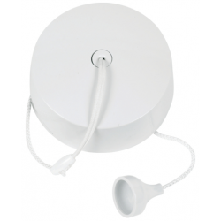 Hager 2W Pullswitch